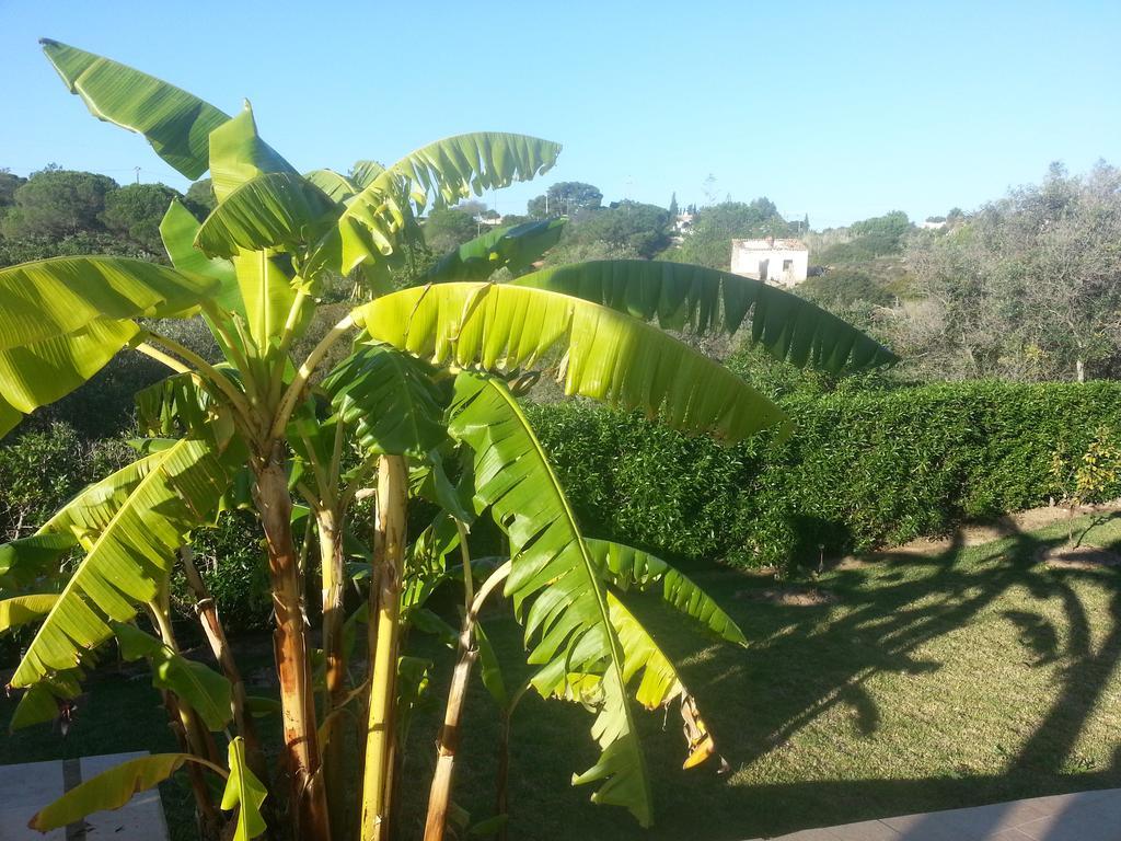 Bed and Breakfast Casa Cereja 'Adults Only' Albufeira Exteriér fotografie