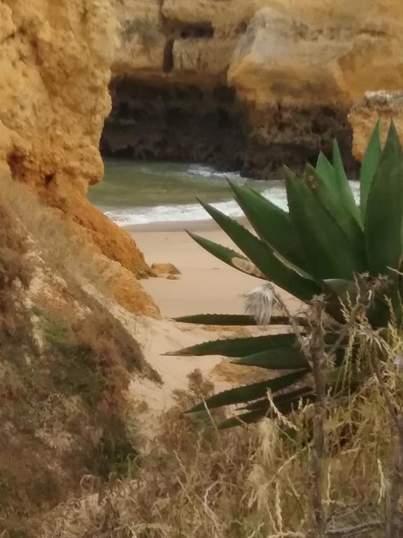 Bed and Breakfast Casa Cereja 'Adults Only' Albufeira Exteriér fotografie