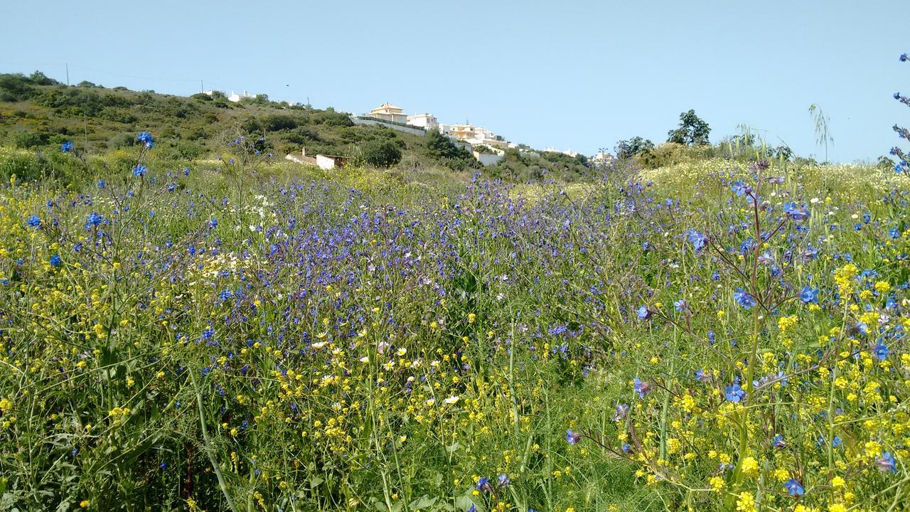 Bed and Breakfast Casa Cereja 'Adults Only' Albufeira Exteriér fotografie