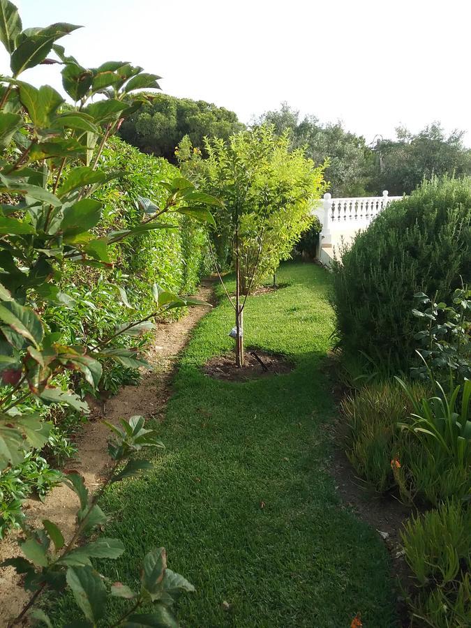 Bed and Breakfast Casa Cereja 'Adults Only' Albufeira Exteriér fotografie